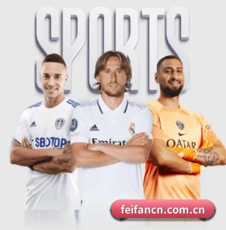 本站五个常用功能入口,赛程查询路径更短（FEIFAN）